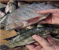 أسعار الأسماك اليوم 10 يناير في سوق العبور