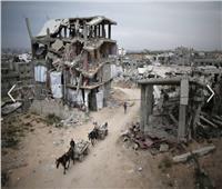 أستاذ علاقات دولية: ما يحدث في غزة إبادة نهائية للحياة
