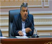 برلماني: مصر تقوم بدور رئيسي لوقف إطلاق النار وإنهاء الكارثة الإنسانية في غزة