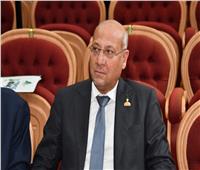 برلماني: لقاء الرئيس السيسي ووزير خارجية الصين تأكيد لدور مصر في استقرار المنطقة 