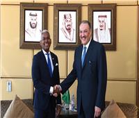 السفير السعودي يستقبل القائم بأعمال سفارة الدومينيكان لدى مصر
