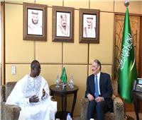 السفير السعودي بالقاهرة يلتقي بنظيره السنغالي
