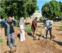 محافظ أسيوط: حملات تشجير مستمرة ضمن مبادرة «زراعة 100مليون شجرة»
