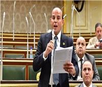 «اقتصادية النواب»: مصر أثبتت للعالم تبنى القضية الفلسطينية قلبا وقالبا وقيادة وشعبا