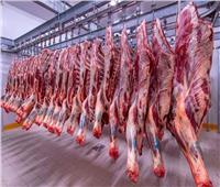 نقيب الزراعيين: الدولة تسير على نهج استيراد اللحوم من الخارج