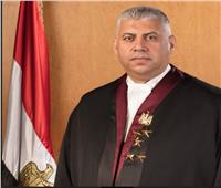 نائب رئيس المحكمة الدستورية: هدفنا حماية حقوق وحريات المصريين 