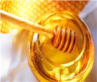 أبرزها علاج السعال عند الأطفال.. تعرف على فوائد عسل النحل