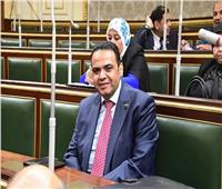 برلماني: زيارة الرئيس الصومالي لمصر تعكس دور مصر المحوري في القارة الأفريقية