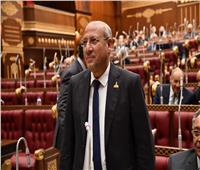برلماني: «مشروع الضبعة النووية يعكس قدرة مصر لتنفيذ طموحاتها» 