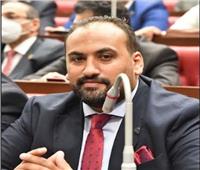 برلماني: تاريخ الشرطة المصرية حافل وعامر بالبطولات والتضحيات 
