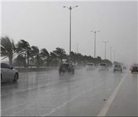 سقوط أمطار غزيرة على محافظة كفر الشيخ‎