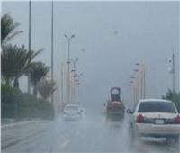 برودة شديدة وسقوط أمطار.. توقعات طقس الغد في كفر الشيخ‎