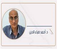 د. أحمد ضياء الدين يكتب: تحليل لثورة 25 يناير  