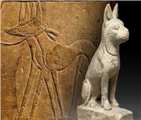 أصل الحكاية| الكلاب في مصر القديمة أفضل صديق للإنسان