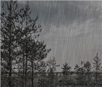 الأرصاد تحذر من طقس اليوم: أمطار ورياح