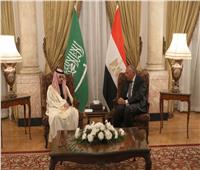 جلسة مباحثات ثنائية بين وزيري خارجية مصر والسعودية يعقبها مؤتمر صحفي مشترك 