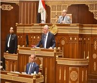 وزير الزراعة أمام مجلس الشيوخ: الرؤية الاستباقية وفرت الأمن الغذائي للمصريين