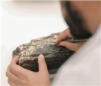 اكتشاف 25 ألفًا من المواد الأثرية تعود لعصر الخلفاء الراشدين في السعودية
