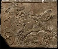 أصل الحكاية | تاريخ موجز للخيول القديمة" خيول الآلهة والملوك"