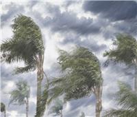 «الأرصاد» تُحذر المواطنين من مرتفع جوي ورياح صحراوية