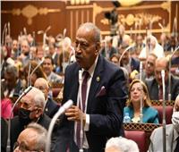 برلماني: الرئيس السيسي يضع القضية الفلسطينية على رأس أولوياته‎