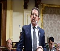 برلمانى: رسائل الرئيس تجدد العهد المصري تجاه دعم القضية الفلسطينية