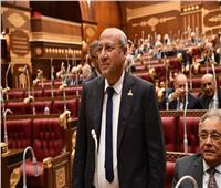 برلماني: موقف مصر ثابت وواضح للعالم بشأن القضية الفلسطينية 