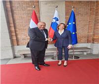 وزير الخارجية: مصر ستظل البوابة الرئيسية لسلوفينيا إلى أفريقيا| صور