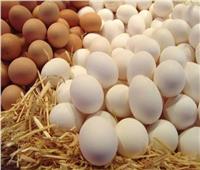 أسعار البيض في الأسواق اليوم الثلاثاء 13 فبراير