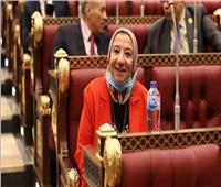 برلمانية: مصر قادرة على حماية أمنها القومي ومواجهة مخططات التهجير