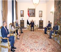 الرئيس السيسي: حل الدولتين السبيل الوحيد لحفظ الأمن والاستقرار في المنطقة