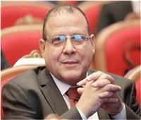 البدوي: نفوض الرئيس السيسي لاتخاذ ما يلزم لحماية أمن مصر 