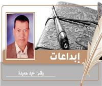  «مصر الثقافة».. قصيدة للشاعر عيد حميدة