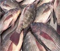 أسعار الأسماك في سوق العبور اليوم الخميس 15 فبراير