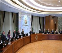 مجلس الوزراء يحدد سعر ضمان لتوريد القطن للموسم «2024- 2025»