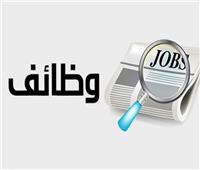 نشرة التوظيف.. توفير 4670 فرصة عمل في 59 شركة خاصة بـ 15 محافظة 