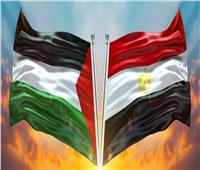 خبير سياسات دولية: مصر تبذل جهودا مكثفة لدعم القضية الفلسطينية