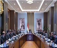 رئيس الوزراء يتابع موقف مشروع توسعات مصفاة تكرير ميدور بالإسكندرية