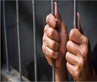 السجن 5 سنوات لسائق دهس مواطنًا على كورنيش الإسكندرية