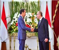 رئيس اندونيسيا: مصر الشريك الاستراتيجي والمحوري لنا بالشرق الأوسط وأفريقيا