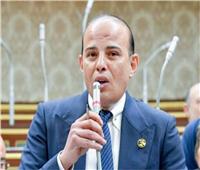 "اقتصادية النواب": مصر تتحرك في جميع الاتجاهات لدعم القضية الفلسطينية
