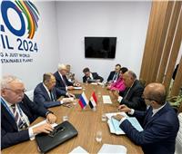 وزير الخارجية يلتقى مع نظيره الروسي على هامش قمة الـ20