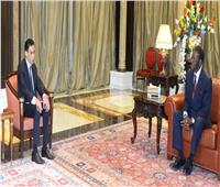 السفير المصري في مالابو يلتقي مع رئيس جمهورية غينيا الاستوائية