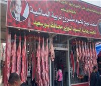 بأسعار تنافسية..«تربية الماشية» يدشن 5 منافذ لبيع اللحوم ببورسعيد