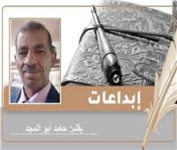 «القتل بدم بارد».. قصة قصيرة للكاتب الدكتور حامد أبو المجد