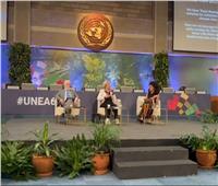 وزيرة البيئة تشارك في أعمال الأمم المتحدة للبيئة بنيروبي.. الأبرز خلال أسبوع