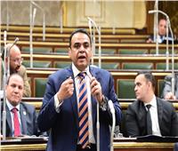 برلماني: تعاون مصر مع منظمة الفاو يستهدف تحقيق الاكتفاء الذاتي وزيادة الصادرات الزراعية 