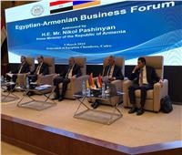 وزير التجارة والصناعة يشارك بفعاليات منتدى الأعمال المصري الأرميني