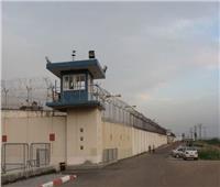 معتقل عتصيون.. محطة للتعذيب قبل نقل الأسرى الفلسطينيين إلى سجون الاحتلال