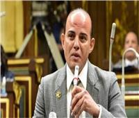 «اقتصادية النواب»: تحرير سعر الصرف فرصة لزيادة حجم الصادرات المصرية ‎